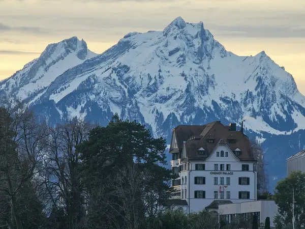 Gün batımında İsviçre dağı. Önünde ağaçlar ve oteli olan altın gökyüzü.