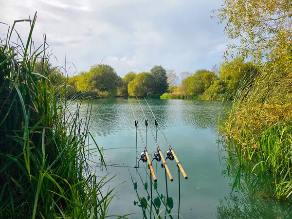 Suda 3 oltası olan küçük bir göl manzarası.