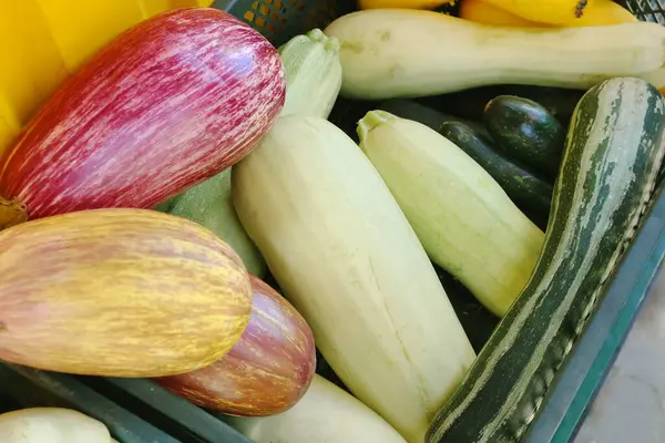 Olgun mevsimlik sebzelerle dolu bir çiftlik pazarı. Kabak, kabak, patates kabağı, havuç, pancar dahil. Hepsi taze ve satın alınabilir görünüyor. Yüksek kalite fotoğraf