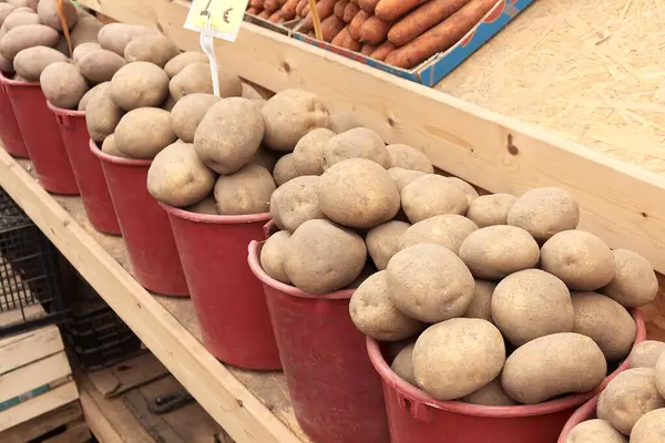 Litvanya 'nın Vilnius kentindeki mevsimlik açık pazarda düşük bir fiyata satılan olgun patates kovaları. Yüksek kalite fotoğraf