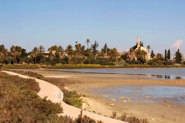 Güneşli bir günde Kıbrıs Rum Kesimi 'nin Larnaka kentindeki tuz gölü üzerindeki Hala Sultan Tekke camisinin panoramik manzarası. Yüksek kalite fotoğraf