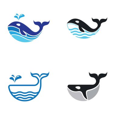 Balina logo vektör simgesi tasarımı