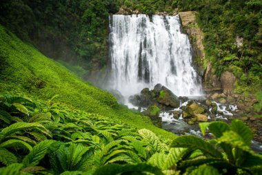 marokopa falls in the north island of new zealand clipart