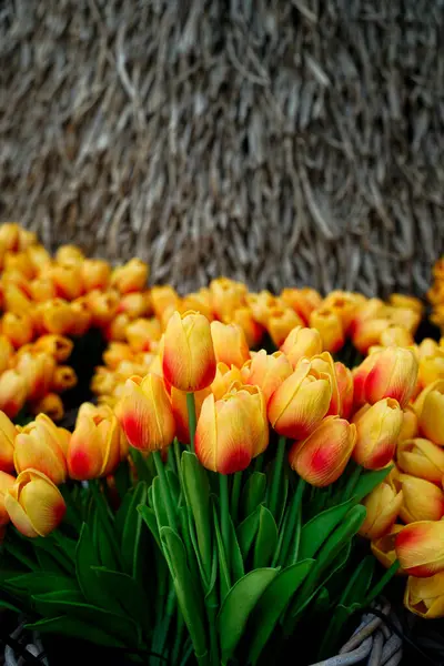 Yapay sarı lalelerin konsept fotoğrafı