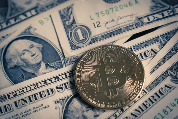 Fiziksel bitcoin 'in konsept resmi