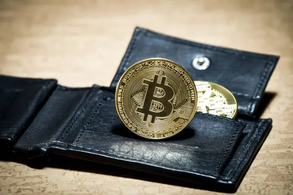 Fiziksel bitcoin 'in konsept resmi
