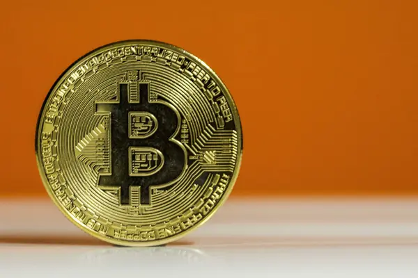 Fiziksel bitcoin 'in konsept resmi