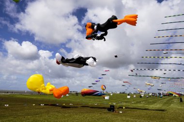 Almanya, Norddeich. Norddeich 'teki uçurtma çayırında planör festivali. 28 Mayıs 2022