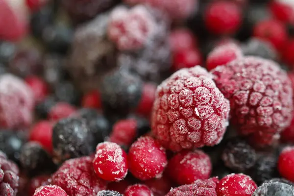 Donmuş yaban mersini ve ahududu fotoğrafının konsept fotoğrafı. 