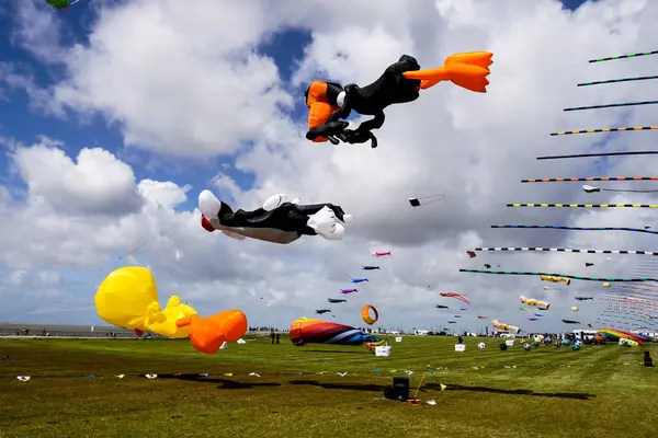 Almanya, Norddeich. Norddeich 'teki uçurtma çayırında planör festivali. 28 Mayıs 2022