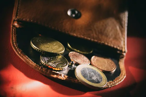 Bir cüzdanda gevşek Avrupa EURO paraları