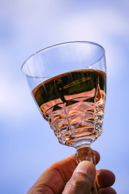 Mavi gökyüzüne karşı bir gül şarabı konsepti