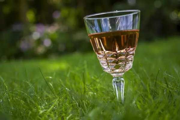 stock image Concept of a rose wine glass on a green meadow