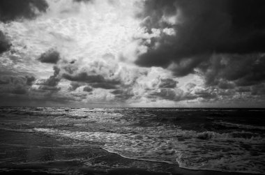 Egmond, Hollanda. 15 Eylül 2020. Egmond plajındaki Kuzey Denizi manzarası ve siyah beyaz Zee.