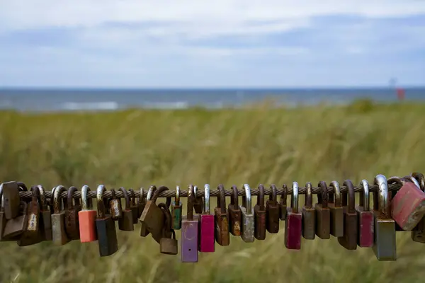 Egmon ve Zee, Hollanda. Kuzey deniz tepelerindeki bir çitin zincirinde aşk kilitleri