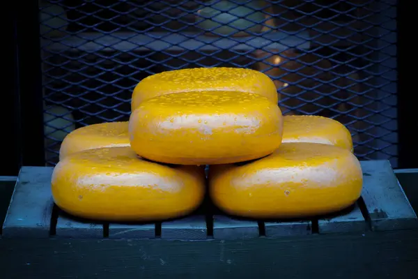 Amsterdam, Hollanda. 26 Şubat 2022. Merkezdeki bir mağazanın önünde birçok peynir tekerleği sergileniyor