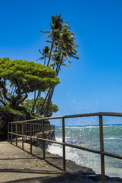 Honolulu, Waikiki, Hawaii. Waikiki 'nin güzel yaz sahnesi. 17 Haziran 2023