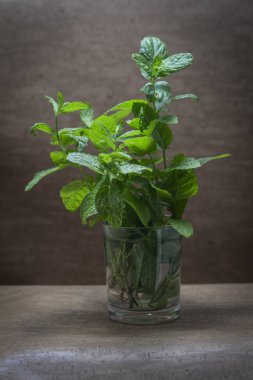 İzole edilmiş taze nane yaprakları kavramı