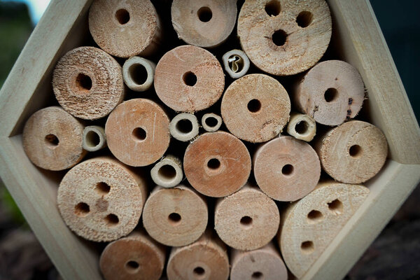 Concept photo of an insect hotel in a garden