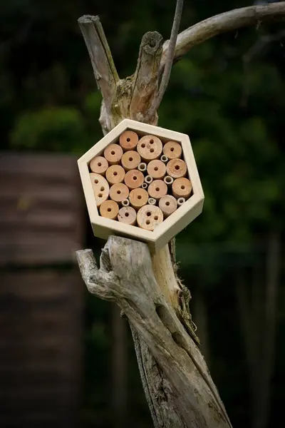 stock image Concept photo of an insect hotel in a garden