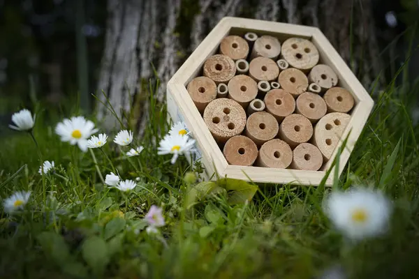 stock image Concept photo of an insect hotel in a garden