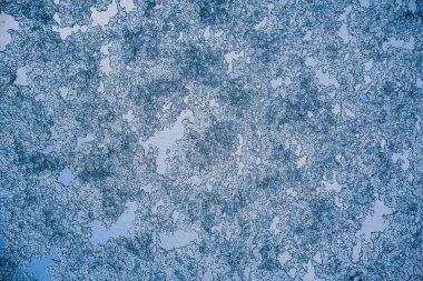 Arabanın ön camında sabah ışığında soyut don.