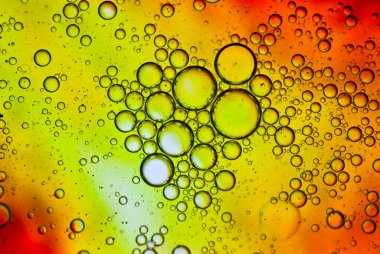 Psycedelic Oil Damlaları Renkli Makro Fotoğraflar