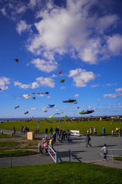 Norddeich, East Frisia, Germany. Kite meadow in Norddeich on a sunny  autumn afternoon with flying kites. October 3rd, 2024 clipart