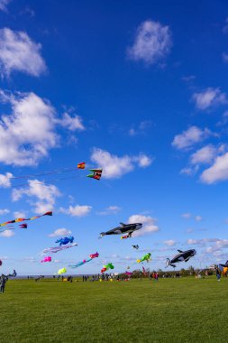 Norddeich, East Frisia, Germany. Kite meadow in Norddeich on a sunny  autumn afternoon with flying kites. October 3rd, 2024 clipart