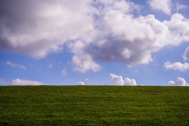 Norddeich, Doğu Frizya, Almanya. Kuşlu tuzlu bataklıklar. Hayvanlar ve insanlar için ekolojik olarak değerli yaşam alanı. 7 Ekim 2024 'te Glassswort (Salicornia europaea) ile korunan doğa rezervi