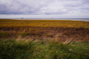 Norddeich, Doğu Frizya, Almanya. Norddeich 'teki Wadden Denizi' ndeki Ulusal Park Kuş Sığınağı 'nın güzel manzarası. 8 Ekim 2024