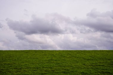 Norddeich, Doğu Frizya, Almanya. Yeşil çayır ve bulutlu mavi gökyüzü. 8 Ekim 2024