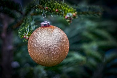 Noel şenliği. Mevsimin büyüsü ve cazibesi. Noel ağacında parıldayan parlak bir Noel ağacı.