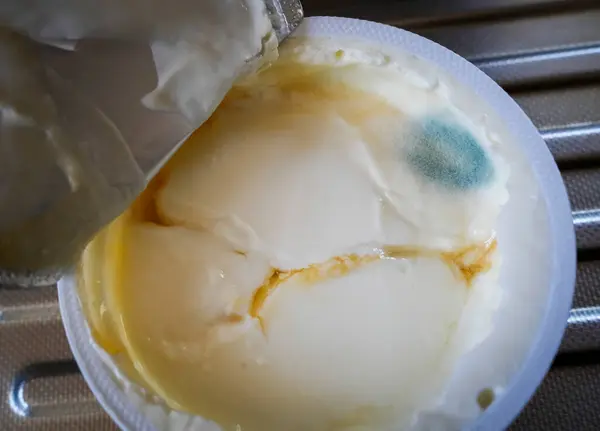 Ürün çekim detayları plastik kabın içindeki küflü, okunamaz yoğurdun yakın çekim detayları.