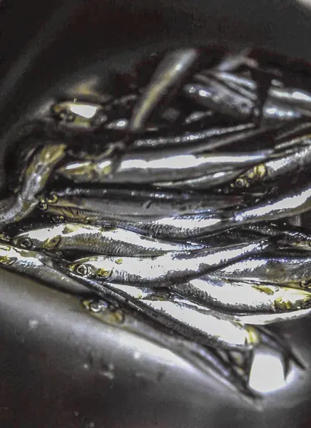 Analog bir geçmişe sahip pek çok gümüş ançüezin yemek fotoğrafı.