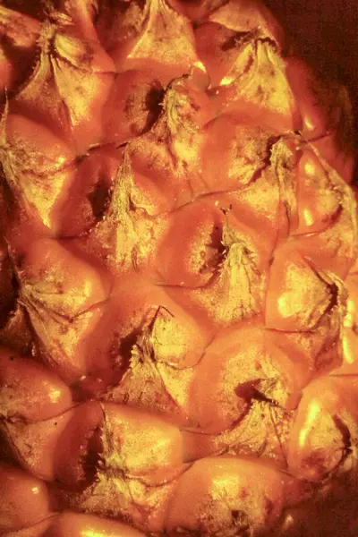 Bir ananas yüzeyinin makro görüntüsü