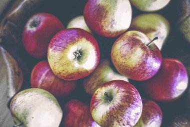 Bir meyve kasesinde toplanmış bir sürü taze elma