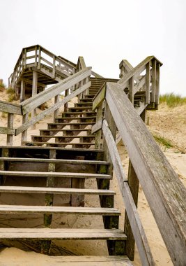 Egmond aan Zee, Kuzey Hollanda, Hollanda. Hollanda Kuzey Denizi kıyısındaki doğal koruma altındaki kumul manzarası. Kasım 08, 2024