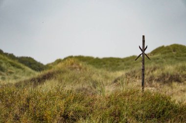 Egmond aan Zee, Kuzey Hollanda, Hollanda. Hollanda Kuzey Denizi kıyısındaki doğal koruma altındaki kumul manzarası. 9 Kasım 2024