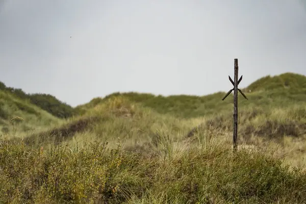 Egmond aan Zee, Kuzey Hollanda, Hollanda. Hollanda Kuzey Denizi kıyısındaki doğal koruma altındaki kumul manzarası. 9 Kasım 2024