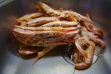 Yemek pişirmeye hazırlanmak için mutfak lavabosunda taze karidesler.