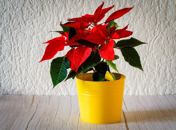 Kapalı bir masada, içinde metin boşluğu olan bir çanağın içindeki noktalama işaretinin konsept fotoğrafı