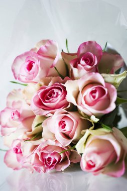 Bir demet pembe gülün fotoğraf stüdyosu