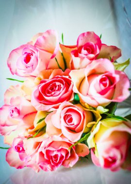 Bir demet pembe gülün fotoğraf stüdyosu