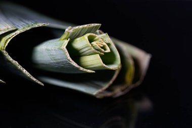 Stüdyodaki pırasa çubuklarının yakın çekimi metin alanı ile izole edilmiş.