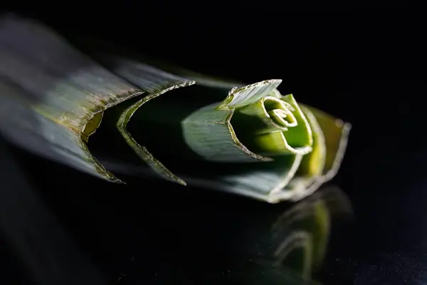 Stüdyodaki pırasa çubuklarının yakın çekimi metin alanı ile izole edilmiş.