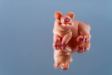 Metin alanı ile izole edilmiş şanslı domuz plastik figürü