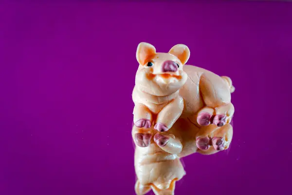 Metin alanı ile izole edilmiş şanslı domuz plastik figürü