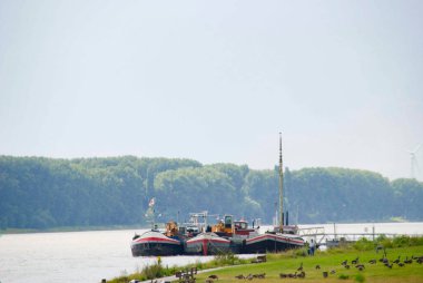 Mondorf, North Rhine-Westphalia, Germany. Cargo ships at the jetty of a shipyard on the river Rhine between Bonn and Cologne. July 25,2009 clipart