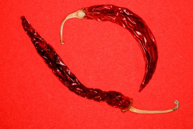 Kırmızı biberin konsept fotoğrafı izole edildi